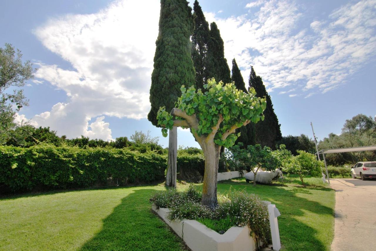 Cypress Garden Villas Svoronata Exteriér fotografie